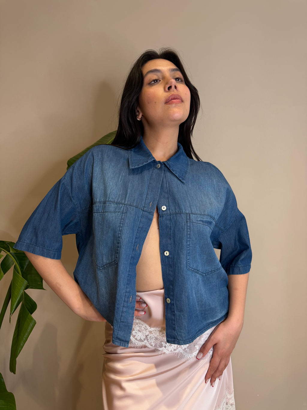 Camicia chambry denim